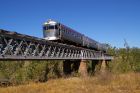 SAVANNAHLANDER_Emu_Ck_290706.JPG